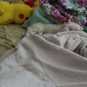 Meet your Posher, Alfredo